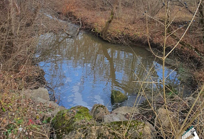 Загрязнение реки подтвердилось: Росприроднадзор опубликовал результаты анализа воды из Малой Зыбзы в Абинском районе