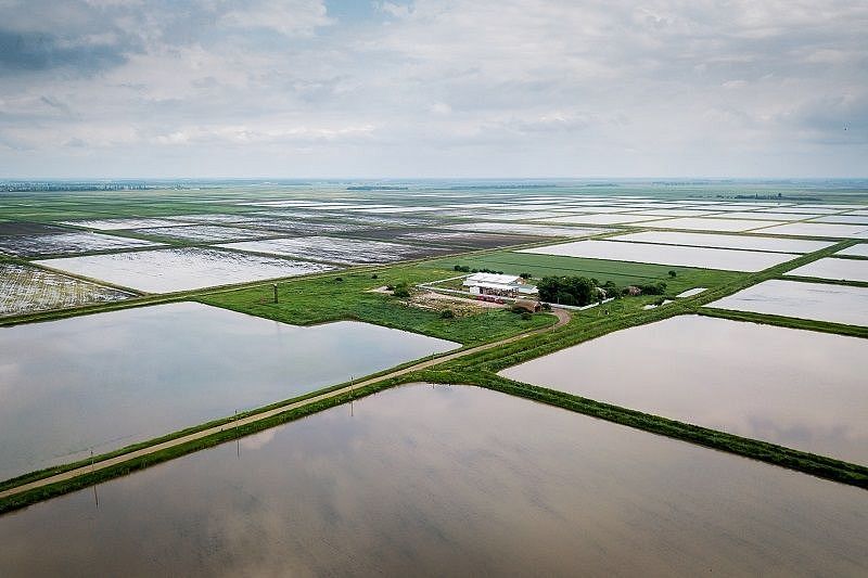 Все готово, кроме воды: ﻿в ближайшие дни хозяйства Краснодарского края приступают к севу риса