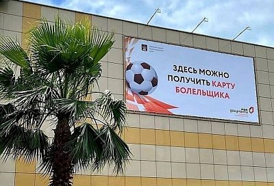 Все на футбол: почти 50 тысяч карт болельщиков оформили в России