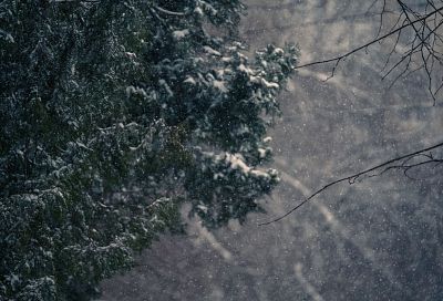 Ночные морозы до -8 градусов и первый снег: две волны холода пройдут через Краснодарский край