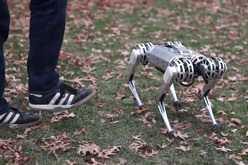 Инженеры выгуляли в парке стаю роботов-собак (видео)
