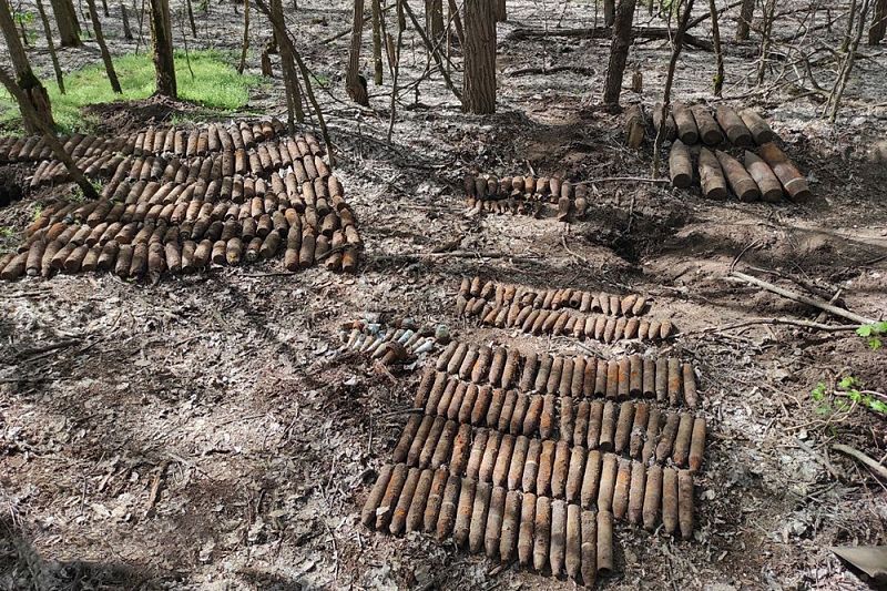 Более 300 снарядов и мин времен войны нашел житель Гулькевичей в лесополосе