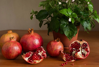 Сушеная кожура граната: бесплатное удобрение с калием, фосфором и магнием