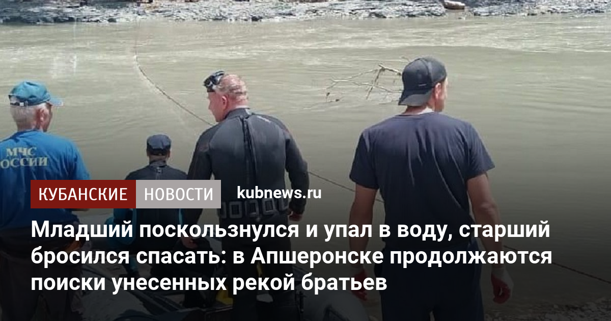 Сканер фристайл либра упал в воду