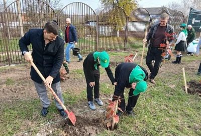 Более 8 тысяч деревьев высадили в Краснодарском крае в рамках акции «Сохраним лес»