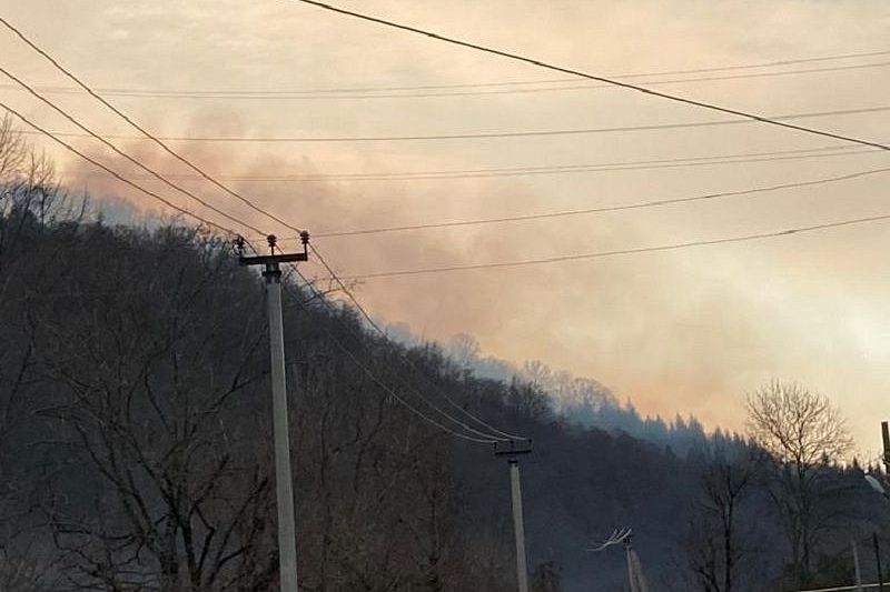 Более 100 человек тушат природный пожар на площади 5,5 га