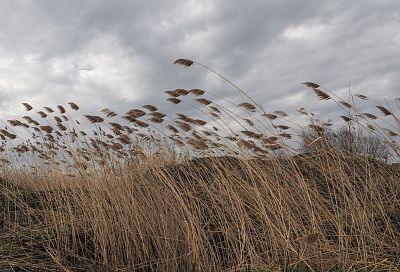 Сильный ветер будет терзать Краснодарский край до конца февраля