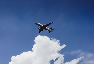 Одна птица — минус 14 лет: учёные выяснили, как клюв и перья убивают авиадетали