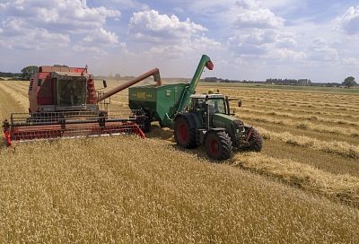 В России собрали рекордные 150 млн тонн зерновых