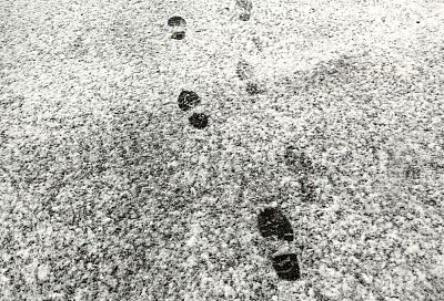 Морозом до -5 градусов попрощается зима с Краснодарским краем