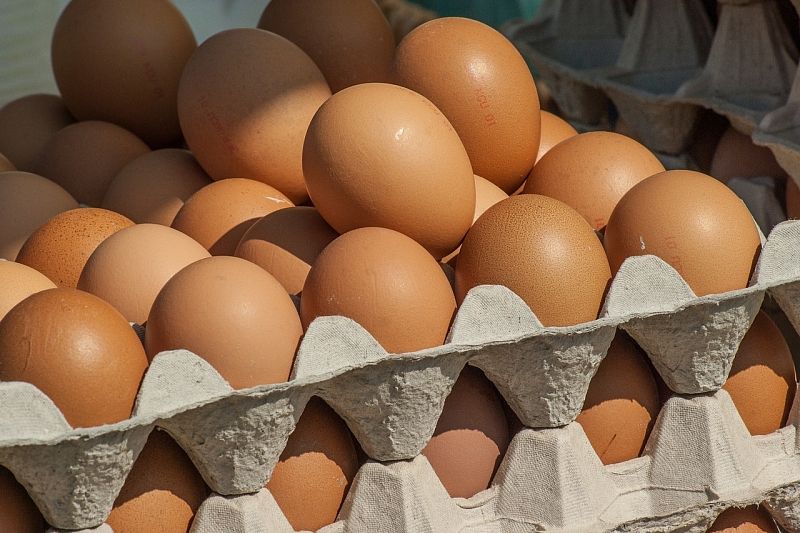Цены на яйца могут снизиться в течение месяца–полутора