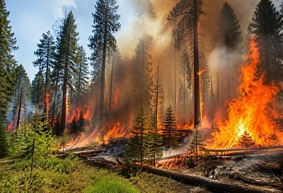На севере Италии бушуют крупные лесные пожары: огонь уничтожил сотни гектаров