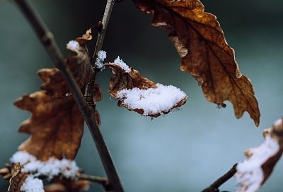 Ливень с грозой и снег прогнозируют синоптики на Кубани 16 ноября 