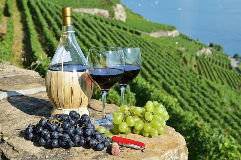 Производство вина на Кубани будет на уровне прошлого года