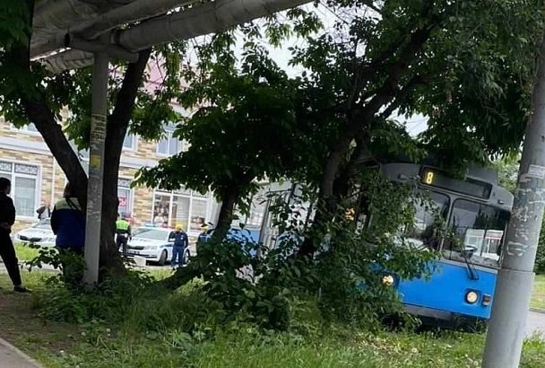 В Краснодаре пешехода зажало под троллейбусом после ДТП