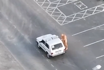 В Анапе голый мужчина ходил по дороге и останавливал машины