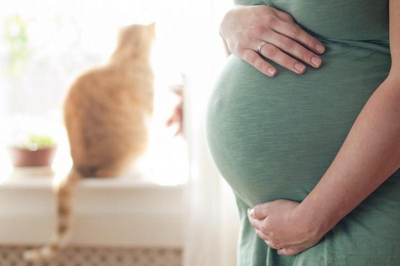 Избыточный вес и беременность: чем опасно ожирение до зачатия