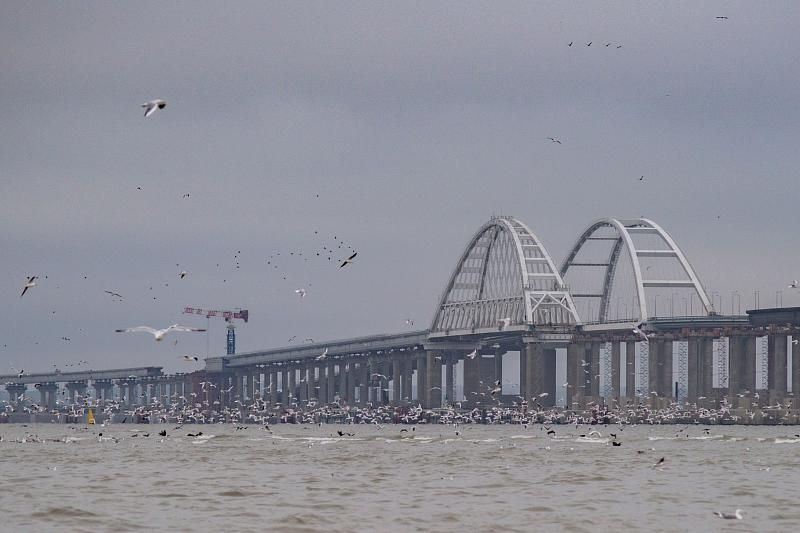 В районе Крымского моста экологи установили кормушки для птиц с полезными злаками