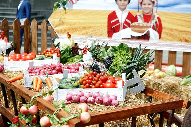 В Краснодарском крае объекты аграрного туризма с начала года посетили более 600 тысяч человек