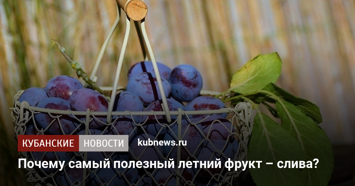 Почему слива преет