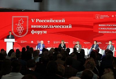 В Краснодарском крае создана винодельческая индустрия полного цикла