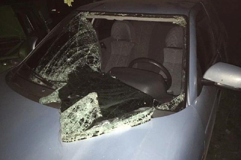 В Адыгее пьяный водитель сбил трех человек