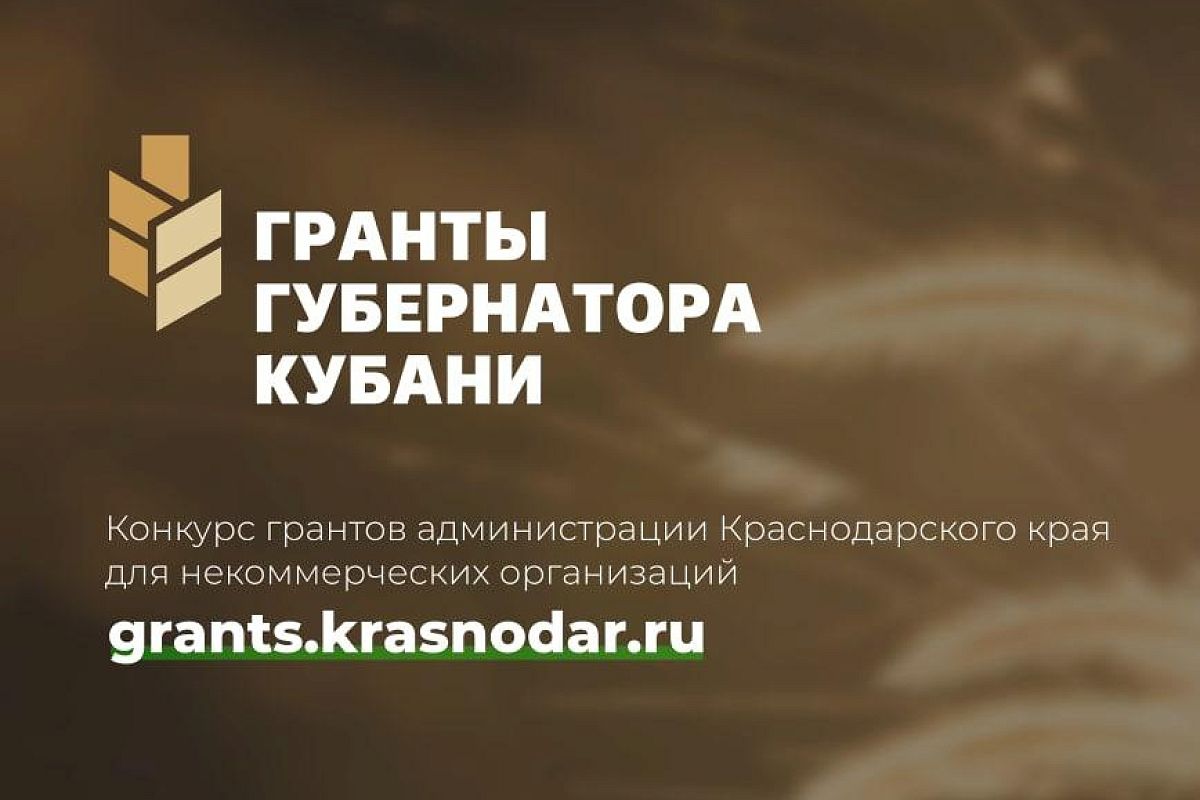 За месяц работы платформу «Гранты губернатора Кубани» посетило более двух тысяч пользователей