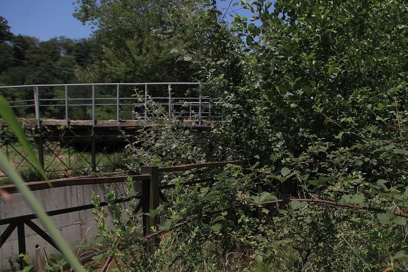 В Сочи спасатели достали из реки упавшую с моста девушку
