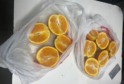В СИЗО Краснодара служебная собака нашла наркотики в посылке с апельсинами