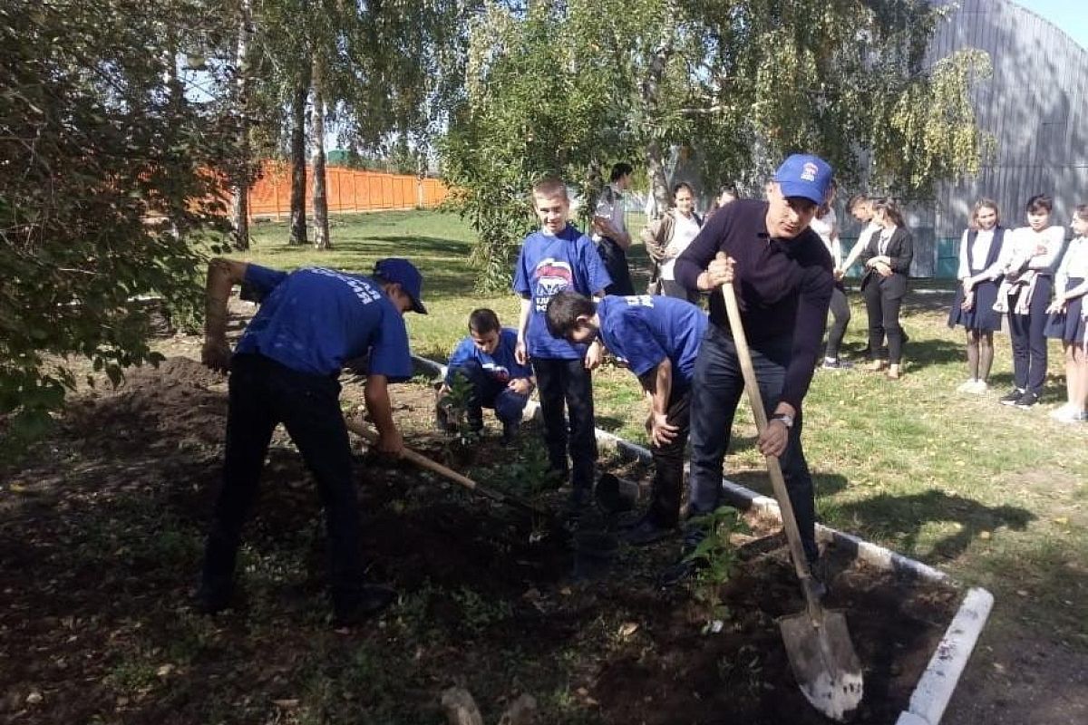 В Армавире высадили сирень Победы