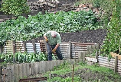 Не время расслабляться: опытный дачник рассказал, что надо сделать на дачном участке в июне