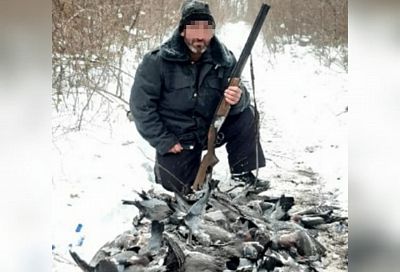 Браконьер расстрелял более 200 голубей. Ему грозит штраф до 750 тыс. рублей 