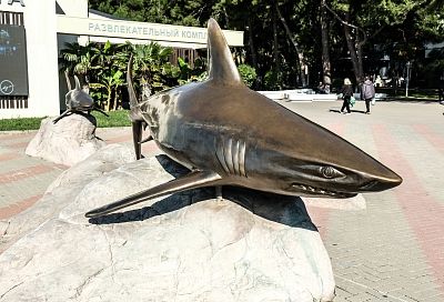 Царь-рыба, акулы и русалки: какие необычные скульптуры на морскую тематику посмотреть туристам на Кубани 