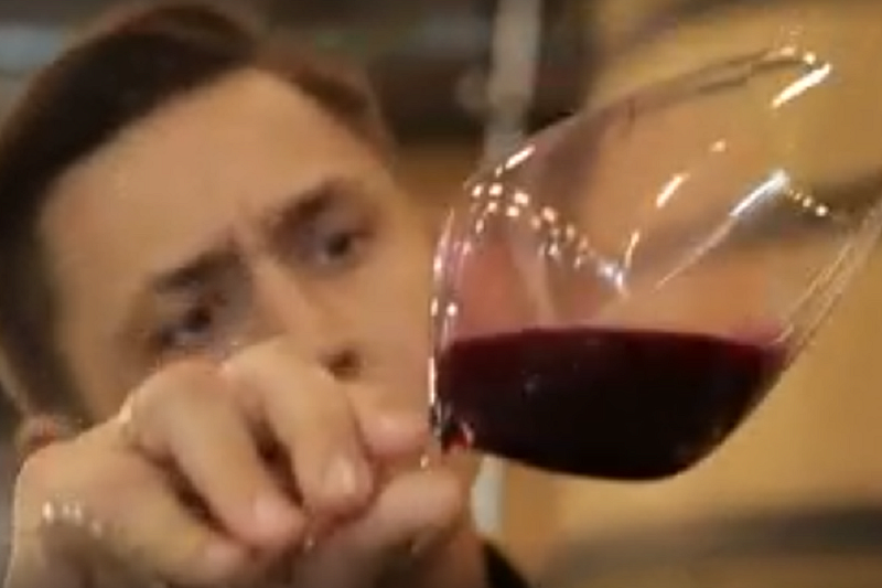 «Правила виноделов»: как становятся профессионалами в винной индустрии