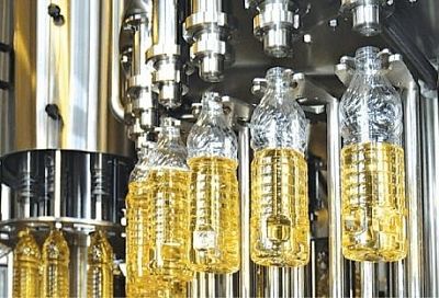 Эффективность производства растительного масла повысит предприятие в Тимашевске 