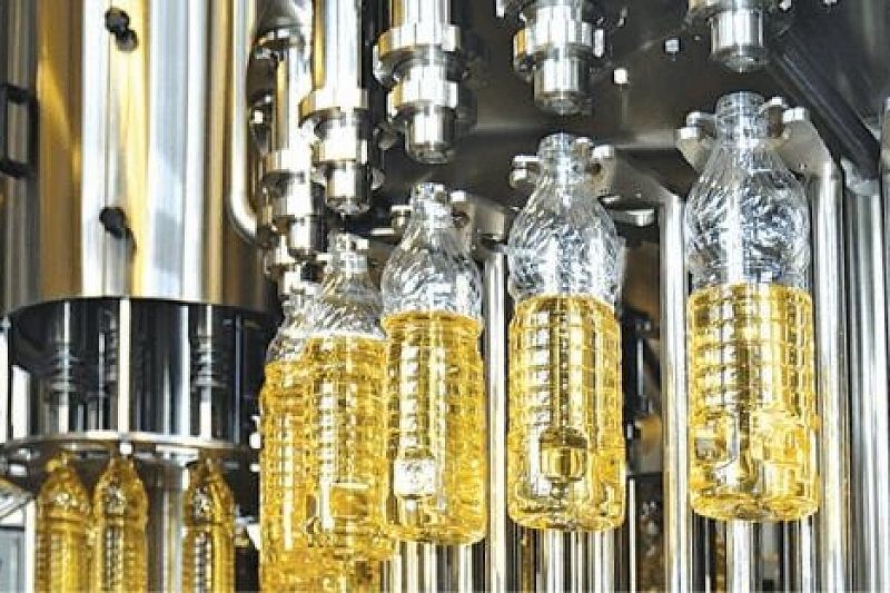 Эффективность производства растительного масла повысит предприятие в Тимашевске 