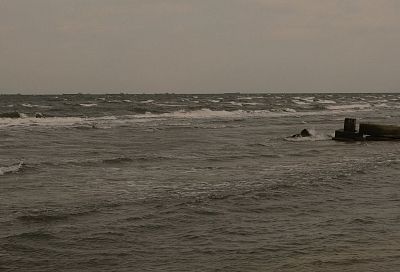 Более 362 тысяч тонн зерна экспортировано через порт Тамани с начала 2026 года