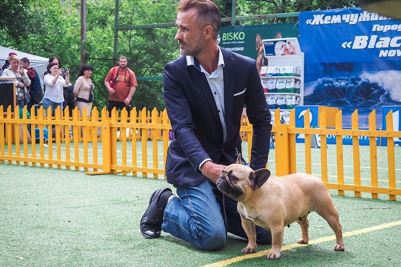 Всероссийская выставка собак Dog Picnic пройдет в Абрау-Дюрсо