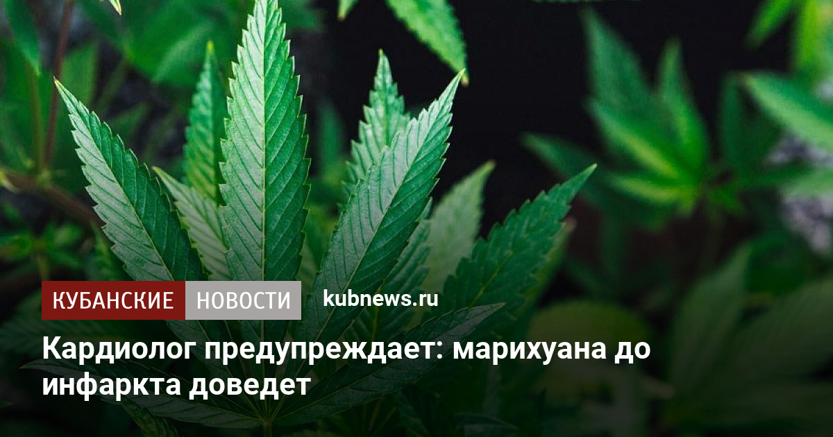 Первый раз марихуана ощущения возможна ли легализация марихуаны в россии