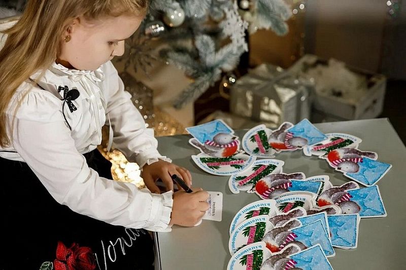 За время акции «Елки желаний» жители Краснодарского края собрали более 1000 подарков тяжелобольным детям