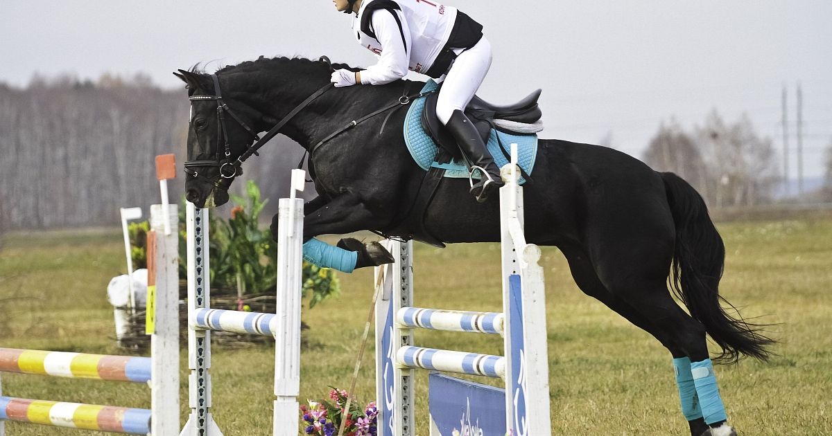 Победы кузбасских спортсменок на чемпионате и первенстве СФО по конному спорту С