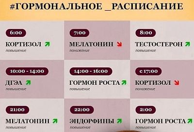 Узнать, как работают гормоны: вот что прямо сейчас происходит с вашим организмом