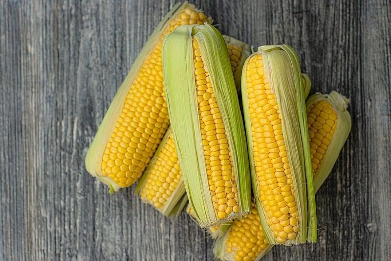 От каких болезней помогает вареная кукуруза?