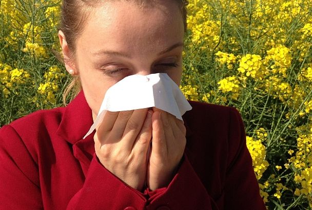 Сезон мучения: россиянам раскрыли, как пережить аллергию этой весной