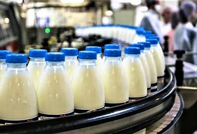Кубанские молочники: приостановка маркировки продукции стабилизирует работу предприятий