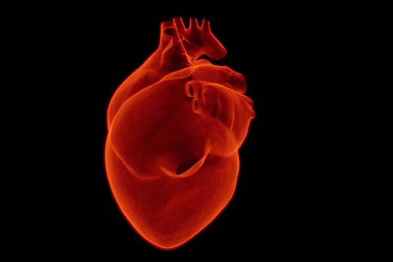 Кардиолог рассказал о том, что поможет снизить риск сердечного приступа на 90%