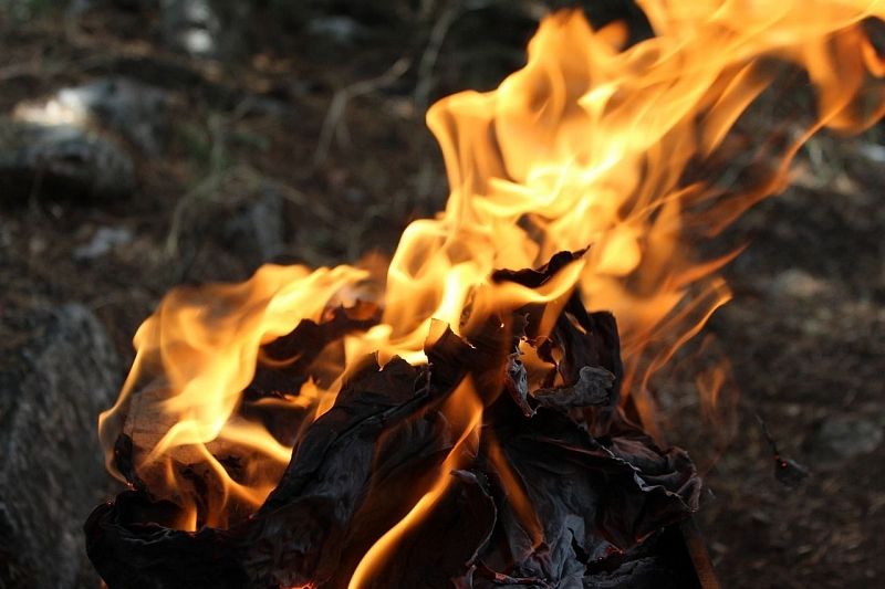 В Туапсинском районе загорелась лесная подстилка