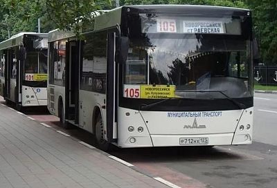 Мэр Игорь Дяченко анонсировал реформу общественного транспорта в Новороссийске