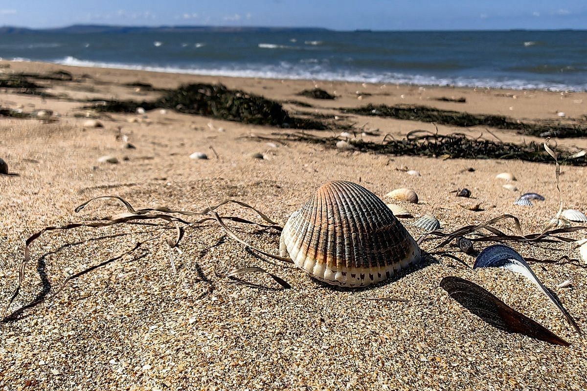 Исследования ученых подтвердили высокую самоочищающую способность акватории Азовского моря
