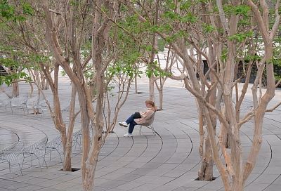 До +20 градусов покажут термометры в Краснодарском крае после короткого похолодания